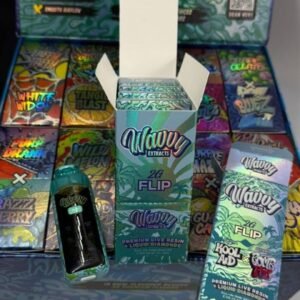 Wavvy 2G Flip Disposable